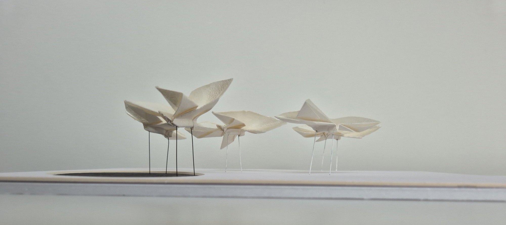 Side view of white origami butterflies mounted above canvas.