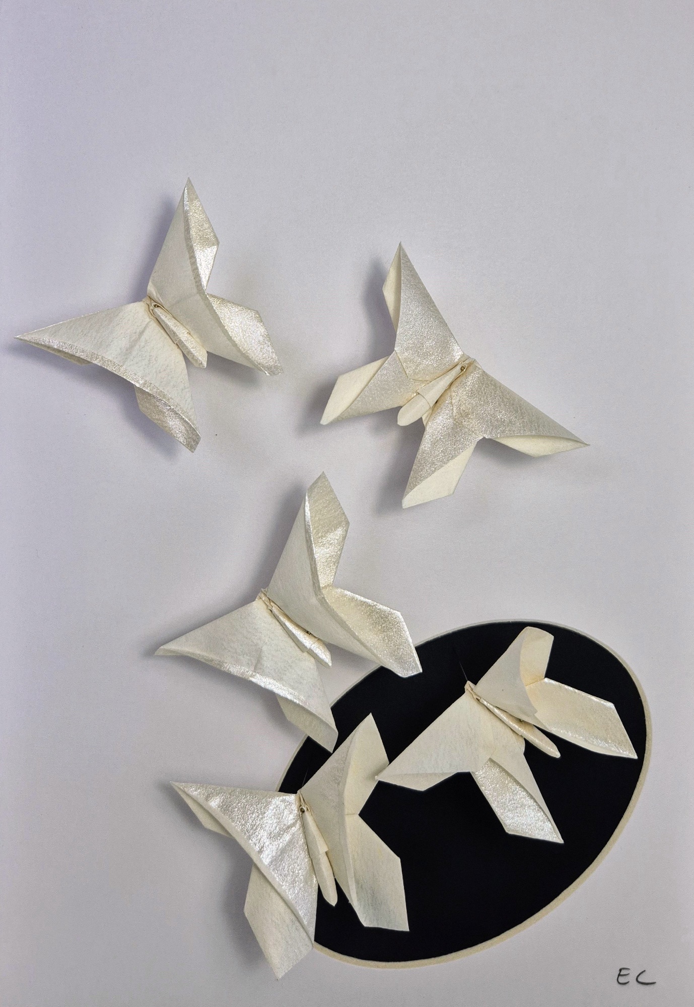White origami butterflies mounted around a black circle.